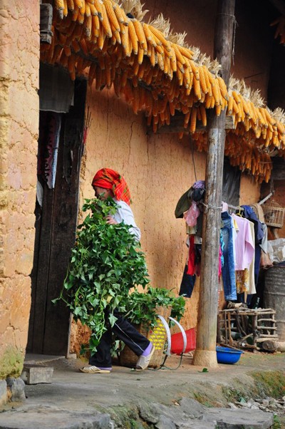 Pho Bang- a peaceful town on Dong Van Karst Plateau - ảnh 3